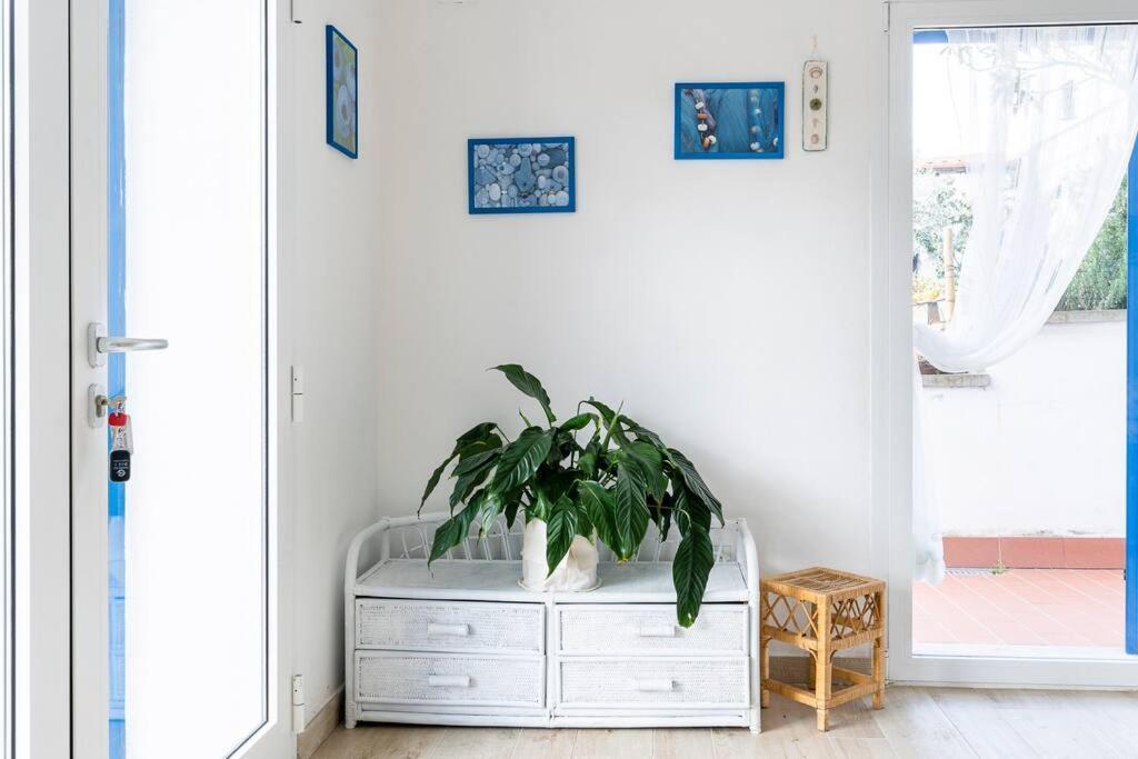 Rosemary'S Home เควร์ชาเนลลา ภายนอก รูปภาพ